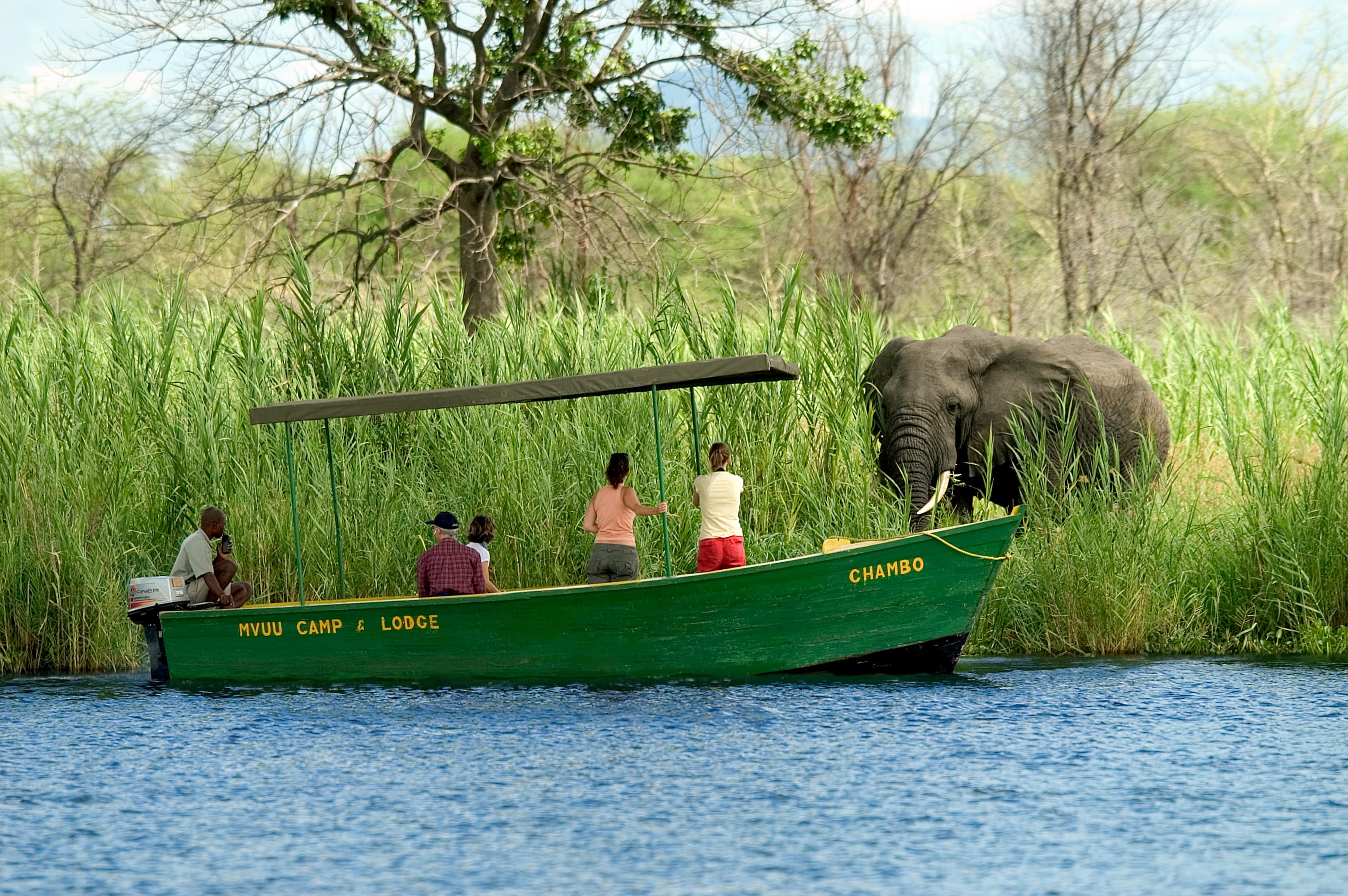 Safari vehicle at golden hour