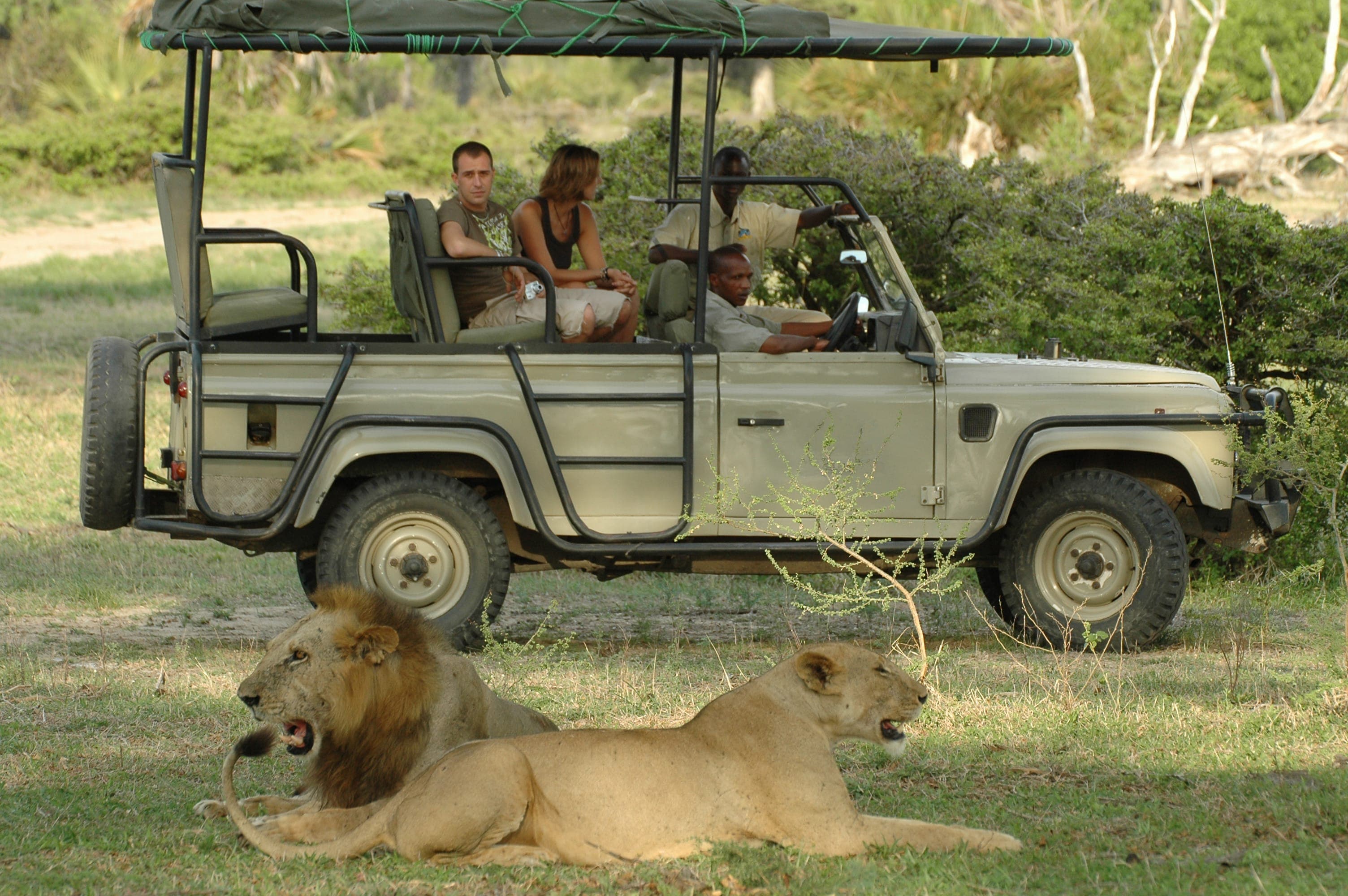 2 Nights 3 Days Mikumi & Udzungwa N.P