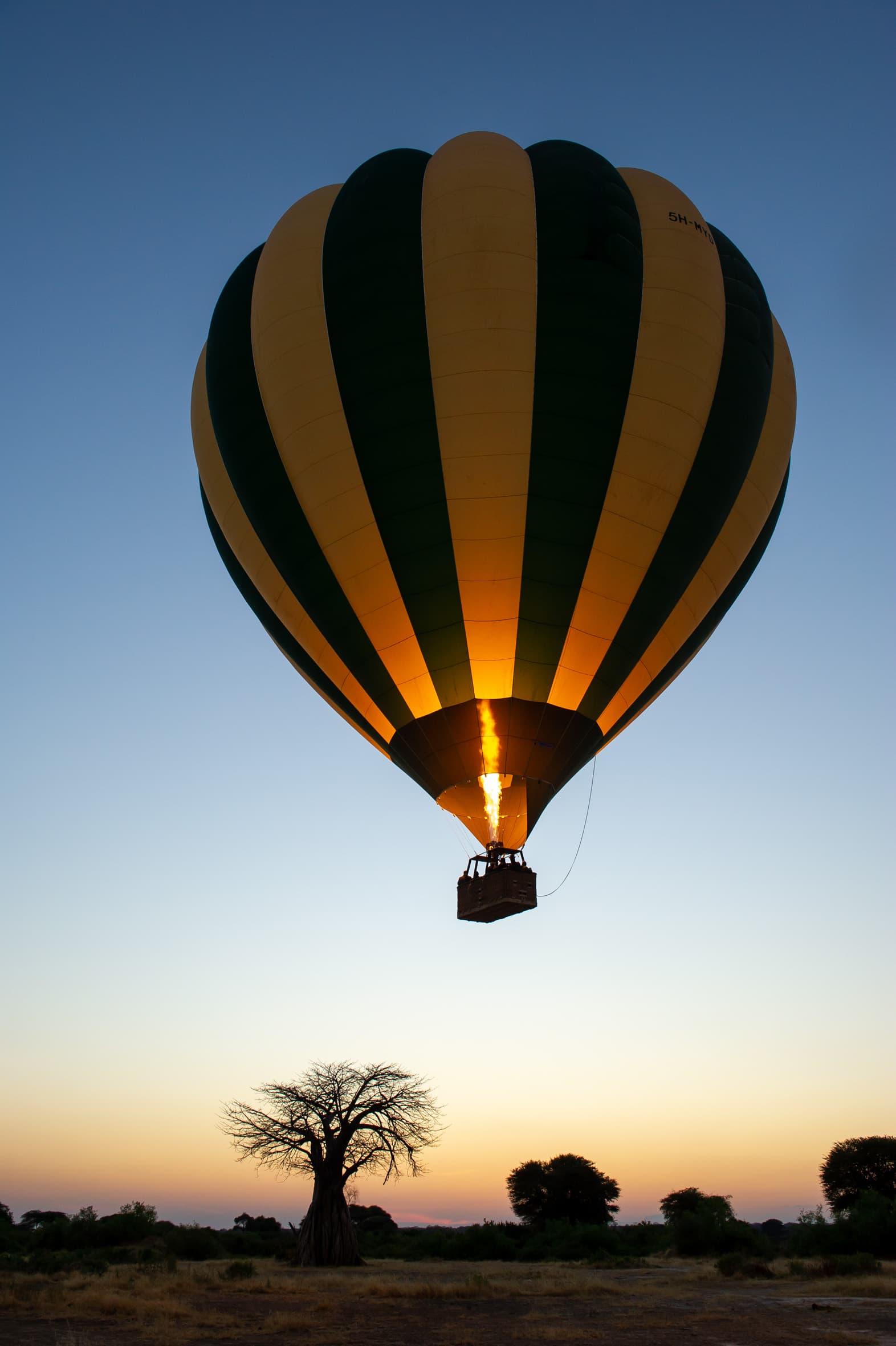 8 Nights 9 Days Nyerere & Ruaha Fly-in Safari